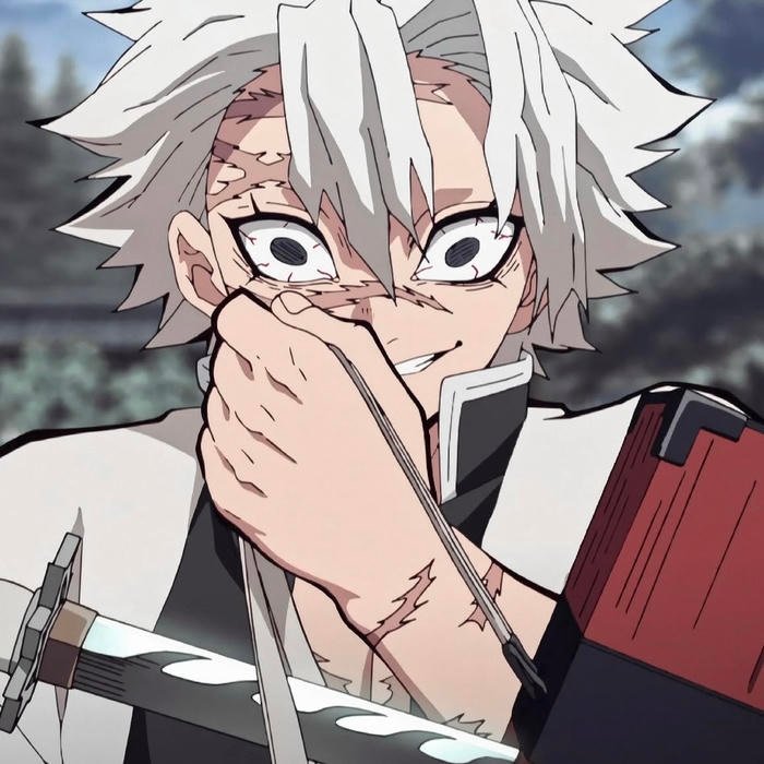 Merciless combat stance frozen within dynamic Sanemi pfp