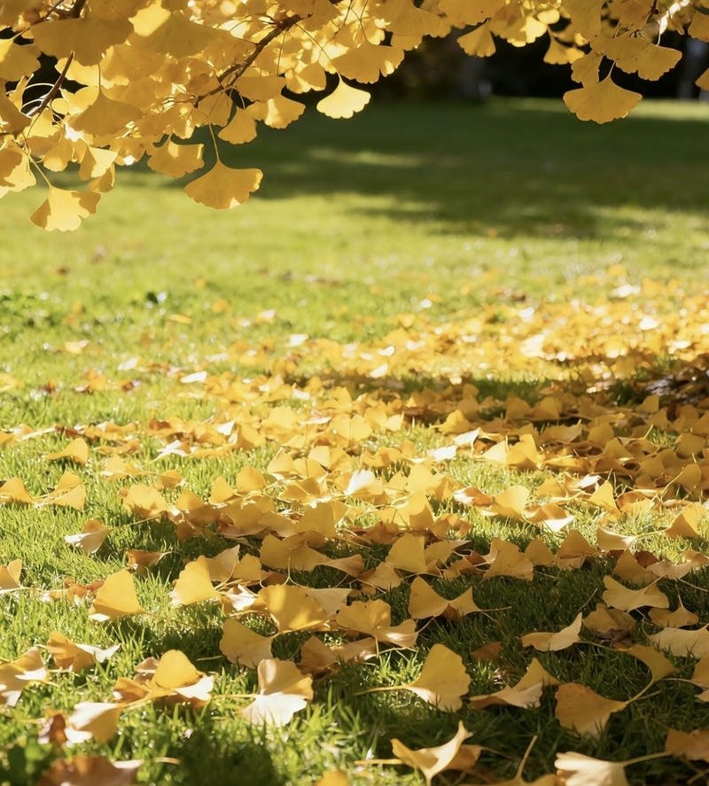 Minimal autumn leaves background aesthetic fall pfp with calm seasonal mood