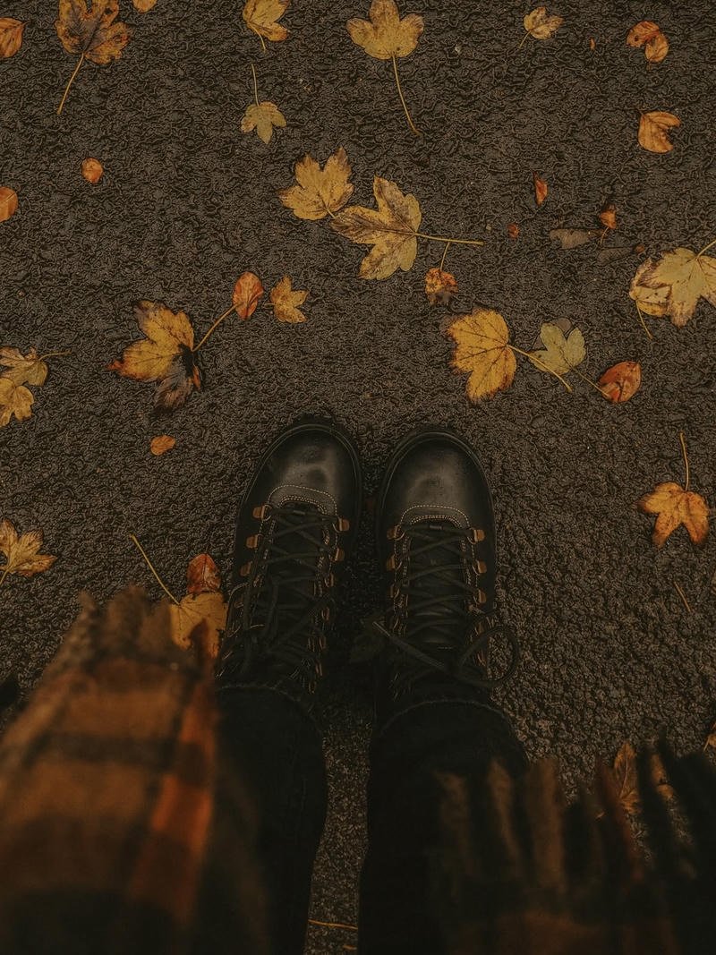 Minimal orange leaf background forming calm fall aesthetic pfp