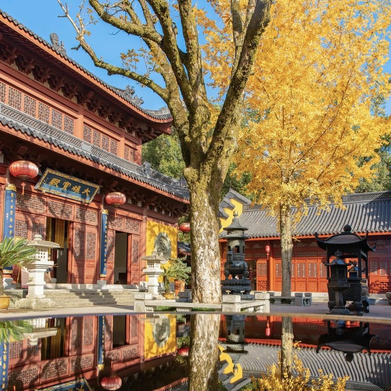 Peaceful autumn forest scenery creating aesthetic fall aesthetic pfp