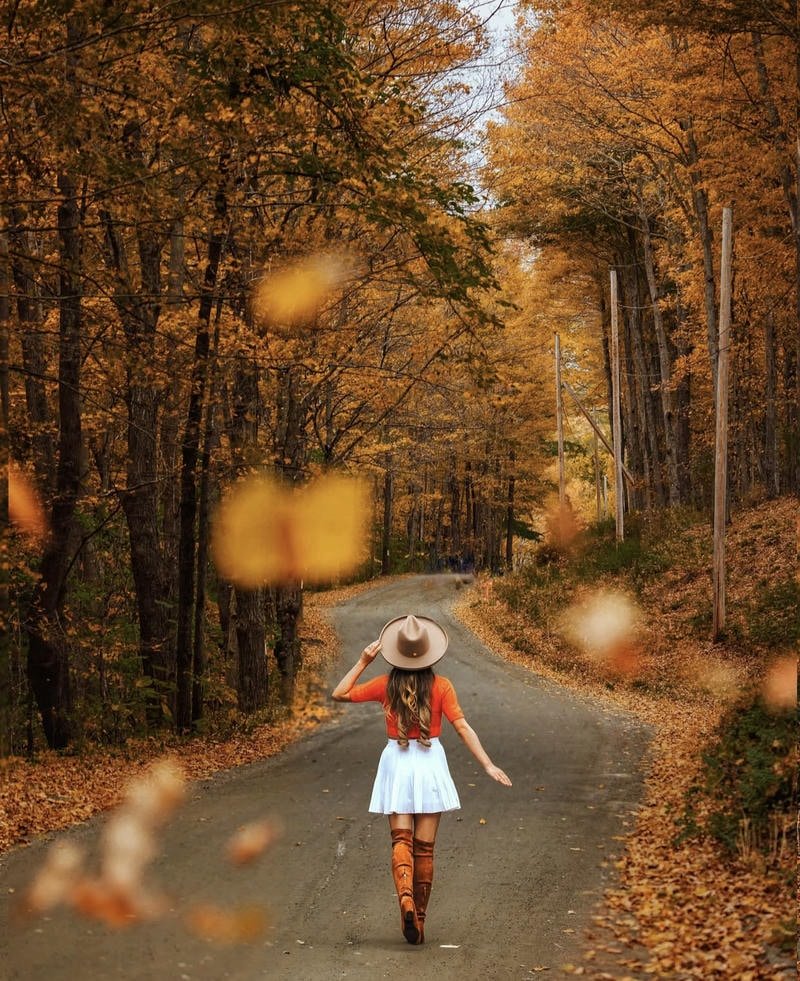 Pumpkin patch aesthetic scene used as fall aesthetic pfp avatar