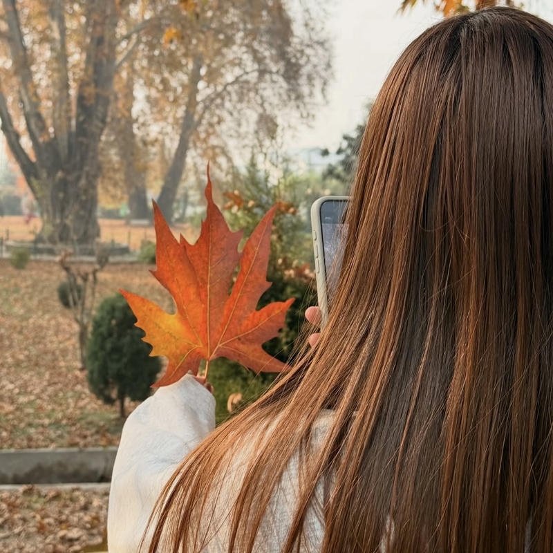 Rainy autumn window mood creating peaceful fall aesthetic pfp