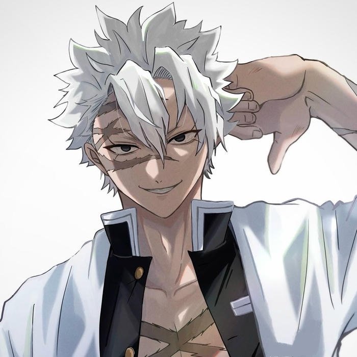 Scarlet streak accents intensifying raw Sanemi pfp design