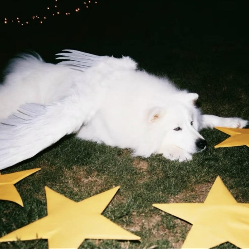 Throwback illustration champion avatar styled retro pfp