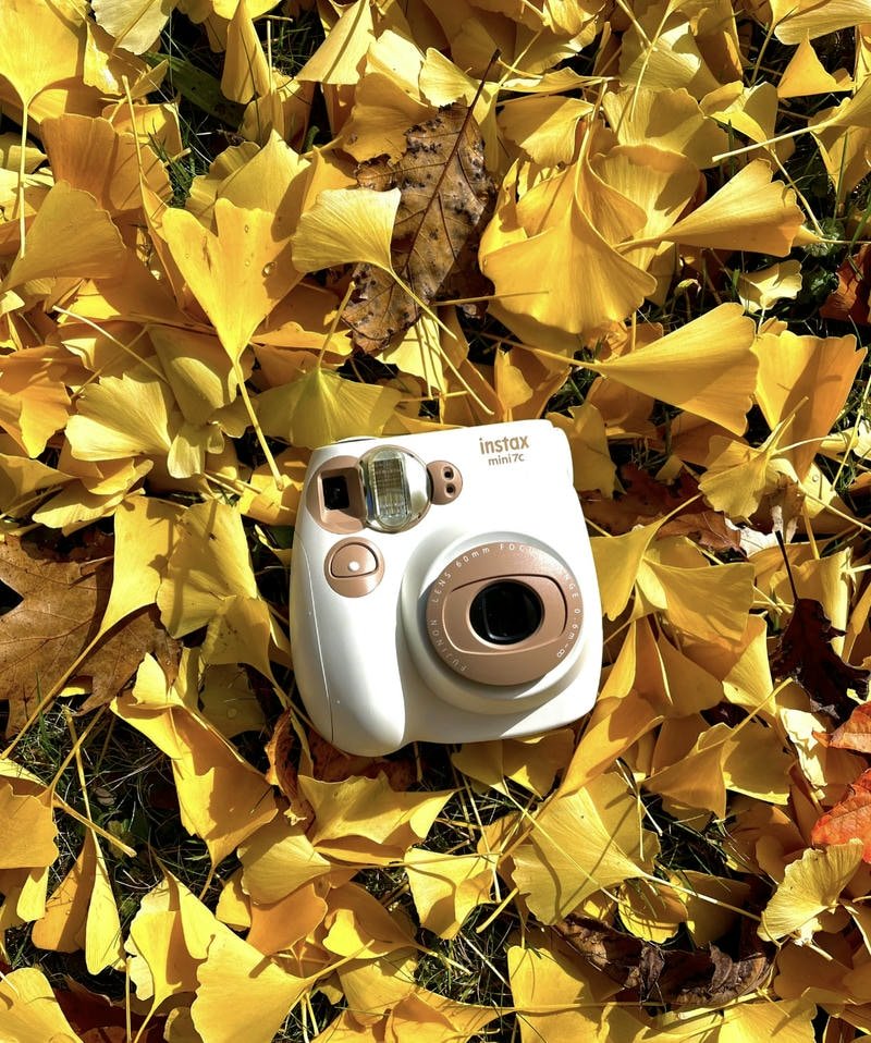 Vintage autumn park bench scenery styled aesthetic fall pfp profile image_