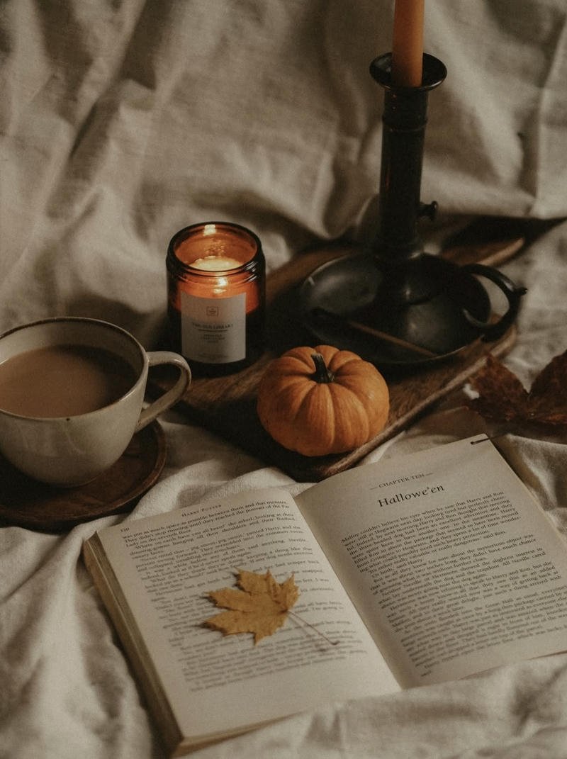 Vintage autumn park scenery perfect warm fall aesthetic pfp