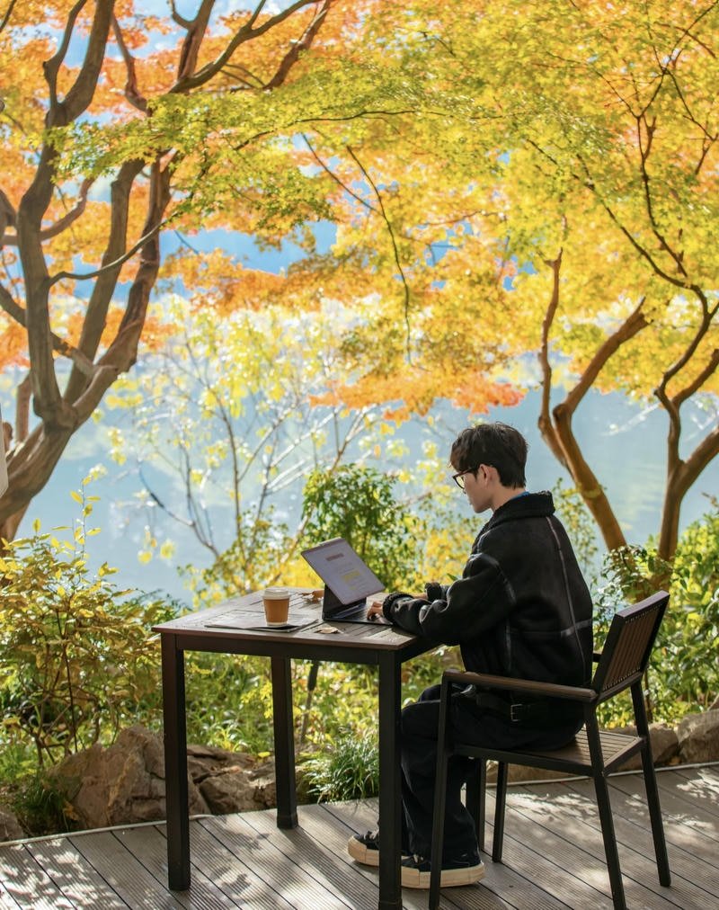 Warm autumn forest path creating calm aesthetic fall pfp background idea