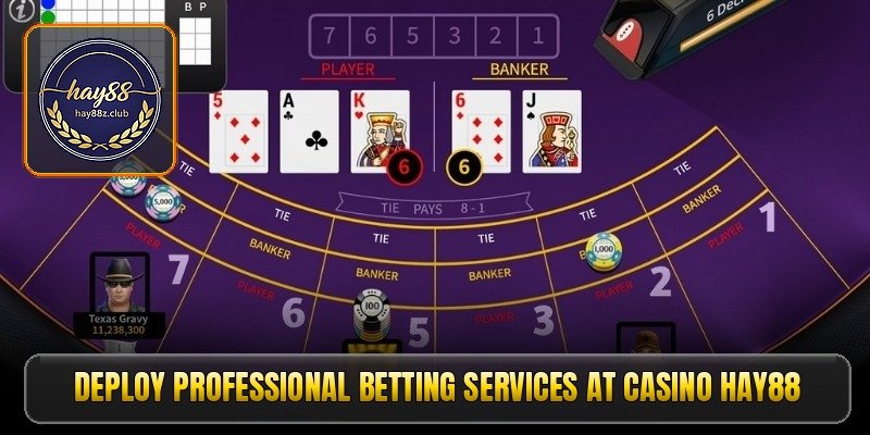 deploy-professional-betting-services-at-casino-hay88